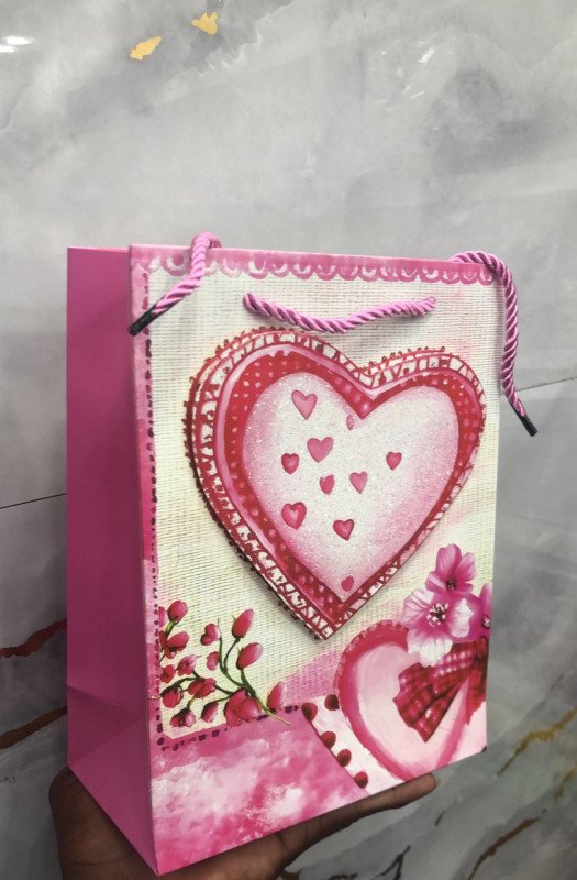 Sac a main pour Cadeau 23x18x9cm Pqt/12pcs - 3573M